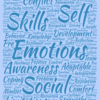 MEIQ - R10 (Multidimensional Emotional Intelligence Quotient - 10th Revision)