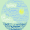 DISC Personality Profile