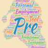 CAMOP - R2 (Career Motivation Profile - 2nd Revision) - Image 2