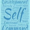 AMPM - R3 (Advanced Multidimensional Personality Matrix – 3rd Revision)
