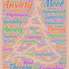 AnxSyS – R2 (Anxiety Symptom Screener - 2nd Revision) - Image 2