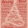 AnxSyS – R2 (Anxiety Symptom Screener - 2nd Revision)