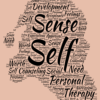 VoSPA - R (Vocational Style & Personality Assessment - Revised)